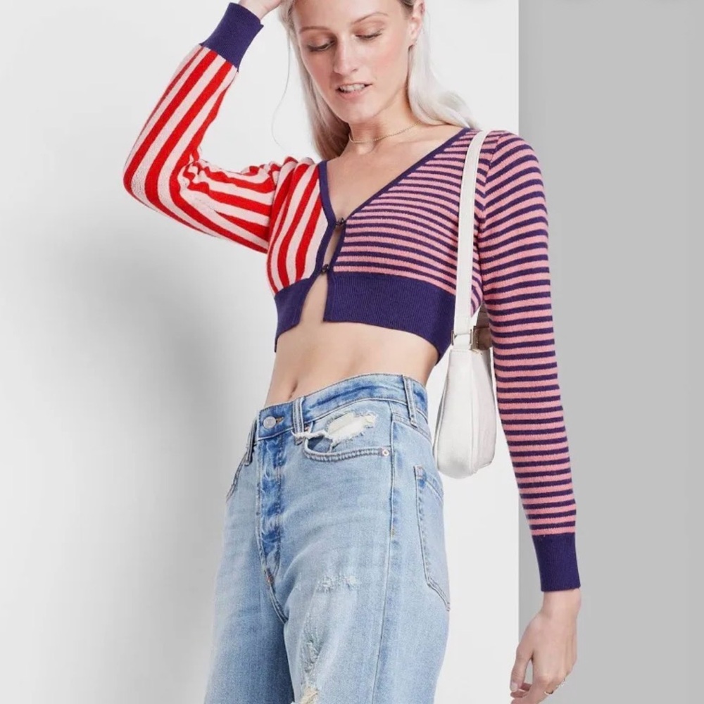 Wild Fable | Red and Purple Striped Sweater | S
